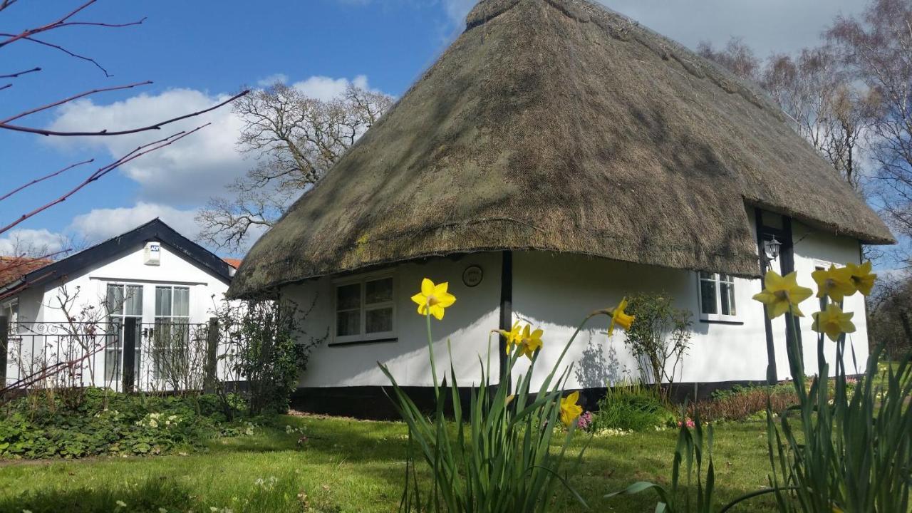 Frogs Hall B&B Eye  Luaran gambar